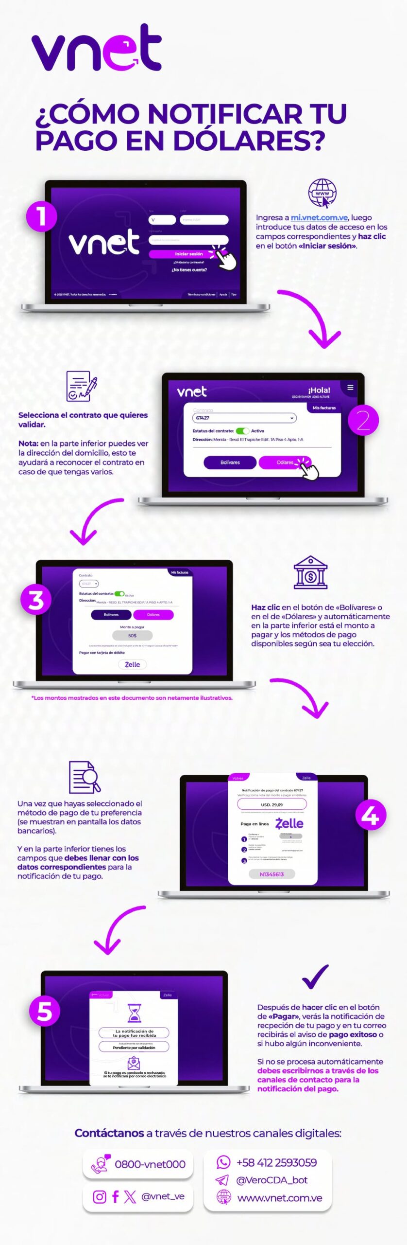 Infografia notificación de pago dolares